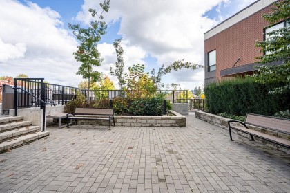 Photo 31 at 315 - 11641 227 Street, East Central, Maple Ridge