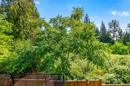 Photo 33 at 10 - 13263 236 Street, Silver Valley, Maple Ridge