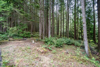 Photo 37 at 27573 Sayers Crescent, Northeast, Maple Ridge
