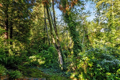 Photo 28 at 11 - 22751 Haney Bypass, East Central, Maple Ridge