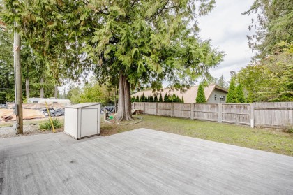Photo 34 at 5 - 23205 Calvin Crescent, East Central, Maple Ridge