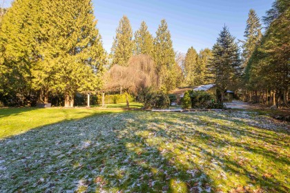 Photo 29 at 12795 Fern Crescent, Silver Valley, Maple Ridge