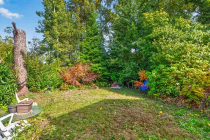 Photo 23 at 19765 Wildcrest Avenue, South Meadows, Pitt Meadows