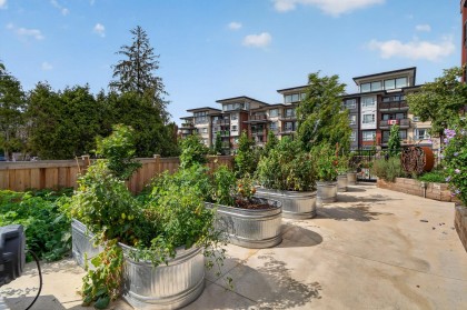 Photo 36 at 503 - 22575 Brown Avenue, East Central, Maple Ridge