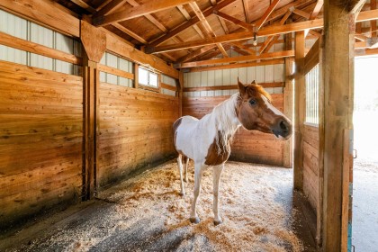 Photo 38 at 28555 104 Avenue, Whonnock, Maple Ridge