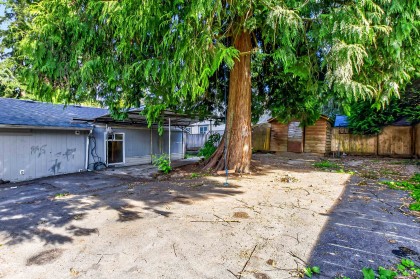 Photo 37 at 21598 Spring Avenue, West Central, Maple Ridge