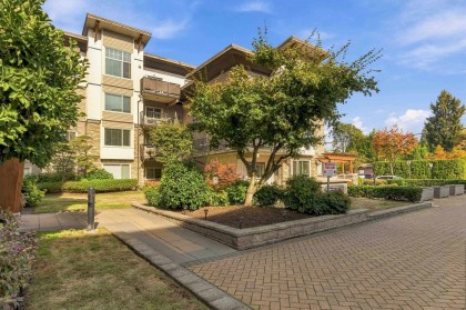 Photo 2 at 216 - 11935 Burnett Street, East Central, Maple Ridge