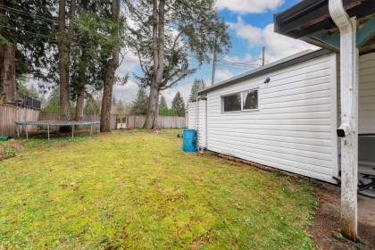 Photo 32 at 23252 Calvin Crescent, East Central, Maple Ridge