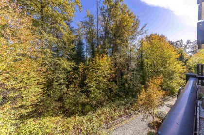 Photo 23 at 204 - 11667 Haney Bypass, West Central, Maple Ridge