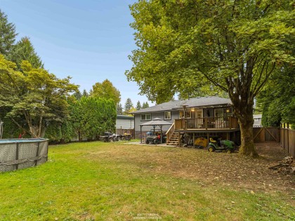 Photo 26 at 21796 Donovan Avenue, West Central, Maple Ridge