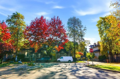 Photo 32 at 212 - 12525 190a Street, Mid Meadows, Pitt Meadows