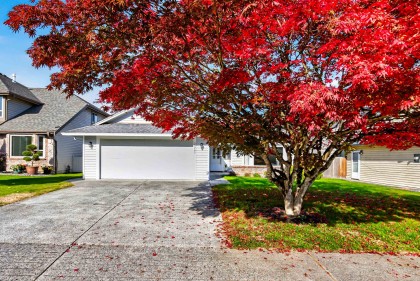 Photo 3 at 22205 126 Avenue, West Central, Maple Ridge
