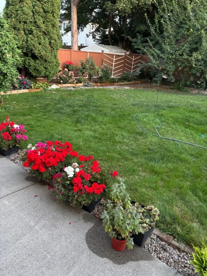 Photo 26 at 20130 Telep Avenue, Northwest Maple Ridge, Maple Ridge