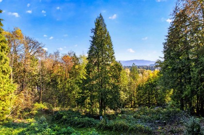 Photo 28 at 9560 Monte Vista Street, Mission BC, Mission
