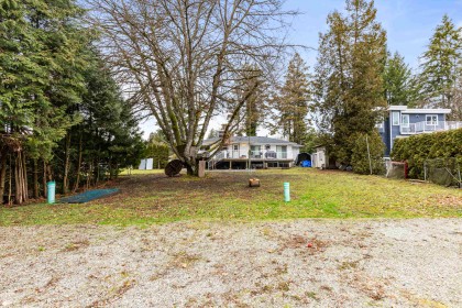 Photo 23 at 21298 River Road, West Central, Maple Ridge
