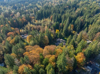 Photo 11 at 12114 Rothsay Street, Northeast, Maple Ridge